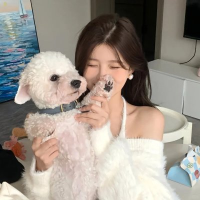 爱你,维克托第二季